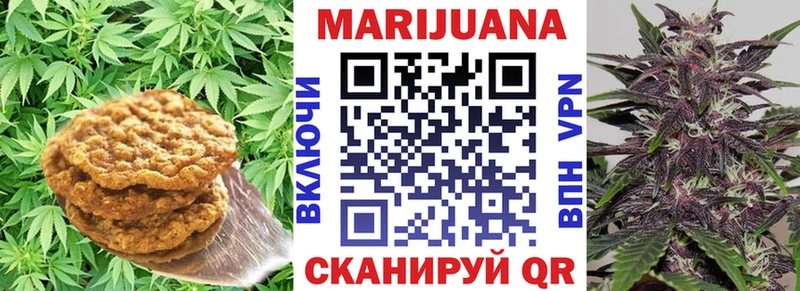 ОМГ ОМГ ONION где купить Кольчугино Cannafood марихуана