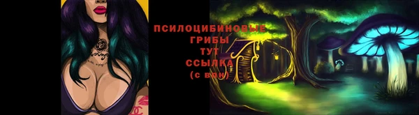 мдма Карпинск
