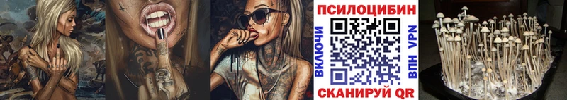 купить наркотик  Кольчугино  это формула  Галлюциногенные грибы ЛСД 