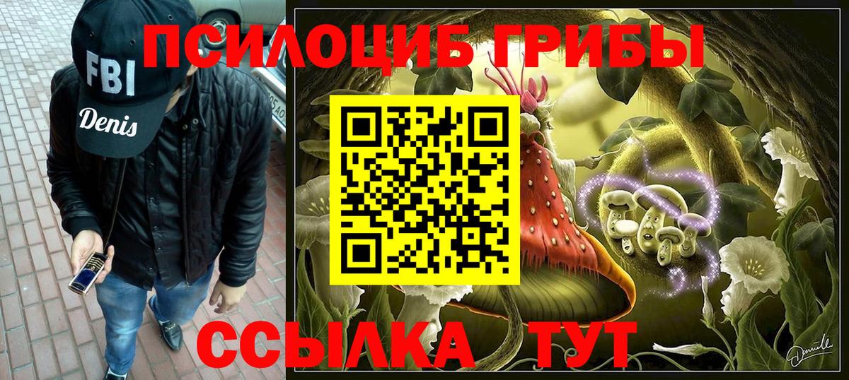 Псилоцибиновые грибы Psilocybe Кольчугино