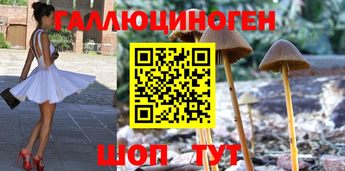 цены наркотик  Вход с VPN  Кольчугино  Галлюциногенные грибы Magic Shrooms 