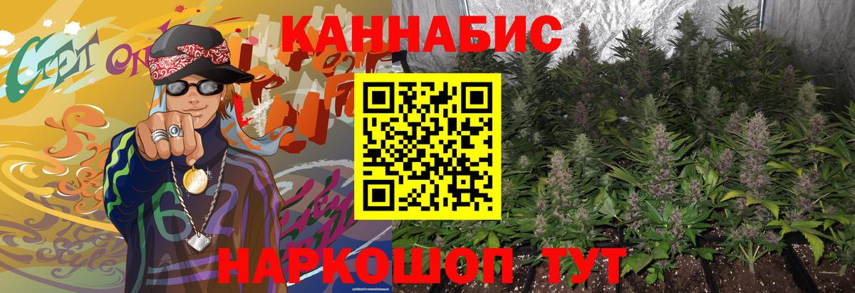 Бошки марихуана семена  МАРИХУАНА семена  Каннабис планчик  Кольчугино  Вход с VPN 